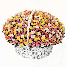 Премиум букет из: Розы в Тобольске