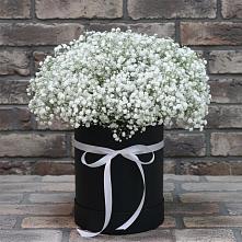 Цветочная композиция из Гипсофила в шляпной коробке в Тобольске