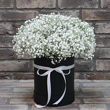 Цветочная композиция из Гипсофила в шляпной коробке в Тобольске