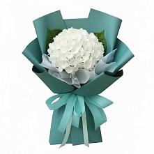 Букет цветов из:  Гортензия в Тобольске